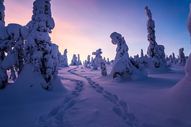 Riisitunturi wilderness adventure - Riisitunturi National Park from Rovaniemi: why this trip feels worth it