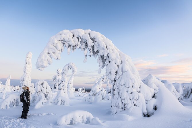 Riisitunturi wilderness adventure - Warm breaks: lunch, snacks, and hot drinks built into the day