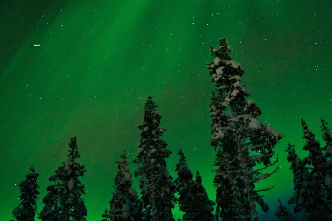 Rovaniemi 2 days Activities Package - Warm Gear and Getting Comfortable in the Cold