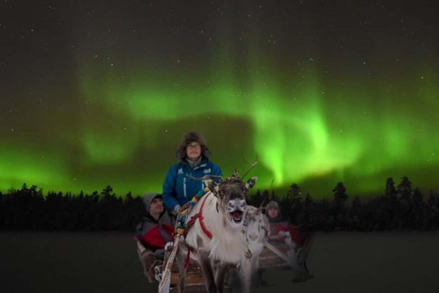 Rovaniemi: 2km Aurora Reindeer Safari Through the Forest - Fireplace time in a cozy Kota hut, with hot drinks and sweet treats