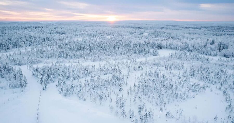 Rovaniemi: 2km Reindeer Sled Ride Through the Forest - Key things that make this tour worth your time