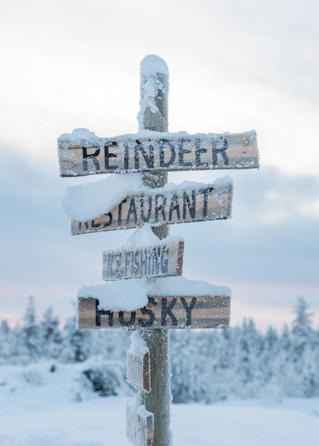 Rovaniemi: 2km Reindeer Sled Ride Through the Forest - The ride out to the countryside, plus a local guide moment
