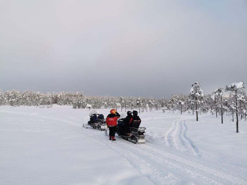 Rovaniemi: 3-Hour Snowmobile Safari in Lapland - What’s Included (and Why It’s a Big Value in Winter)