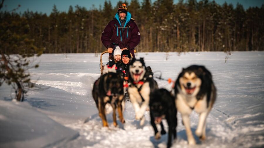Rovaniemi: 4-5 km Self-Drive Husky Sled Through the Forest - Key points before you go