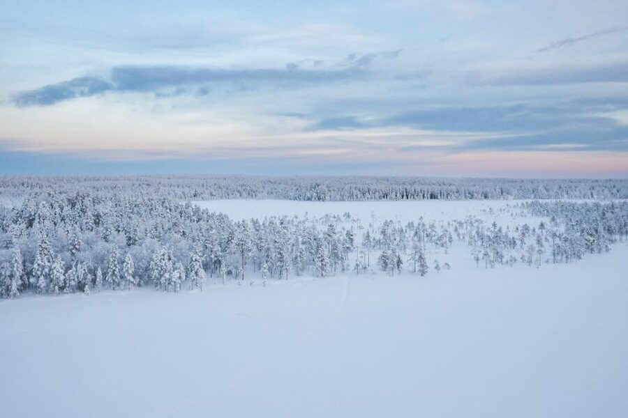 Rovaniemi: 4-5 km Self-Drive Husky Sled Through the Forest - Why a self-drive husky sled in Rovaniemi feels different