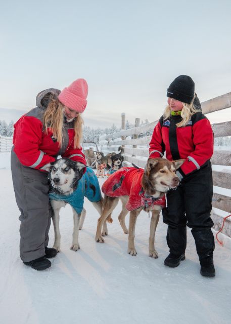Rovaniemi: 4-5 km Self-Drive Husky Sled Through the Forest - What happens before you ride: thermal gear and sled instruction