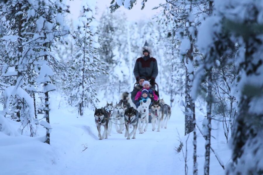 Rovaniemi: 7km Self-Drive Husky Sleigh Ride Adventure - Learning to Steer: Mushers Talk, Then You Take the Lines