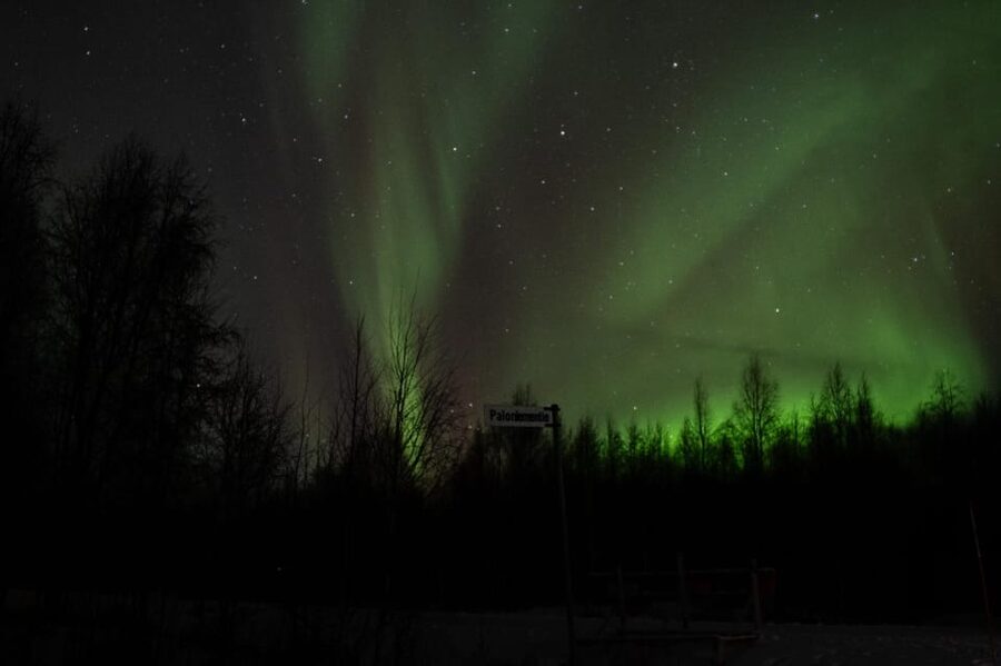 Rovaniemi: 97.3% Success Rate Aurora Group Tour with Photos - Getting started from Korkalonkatu 23, and what to expect in the first drive