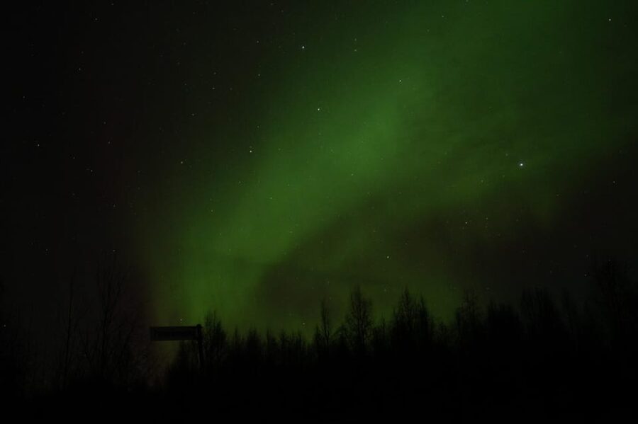 Rovaniemi: 97.3% Success Rate Aurora Group Tour with Photos - How the guides hunt the lights with pro-grade cameras