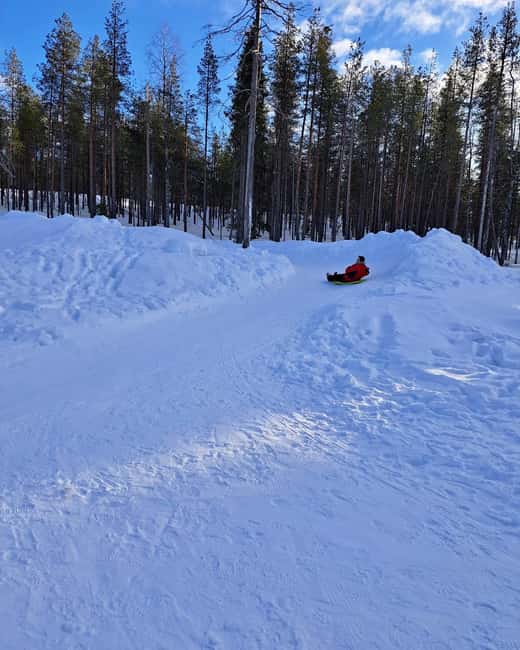 Rovaniemi: A Day Ticket to Kotatieva - Sledge Hill Time: Great Fun, But Not a Speed Theme Park
