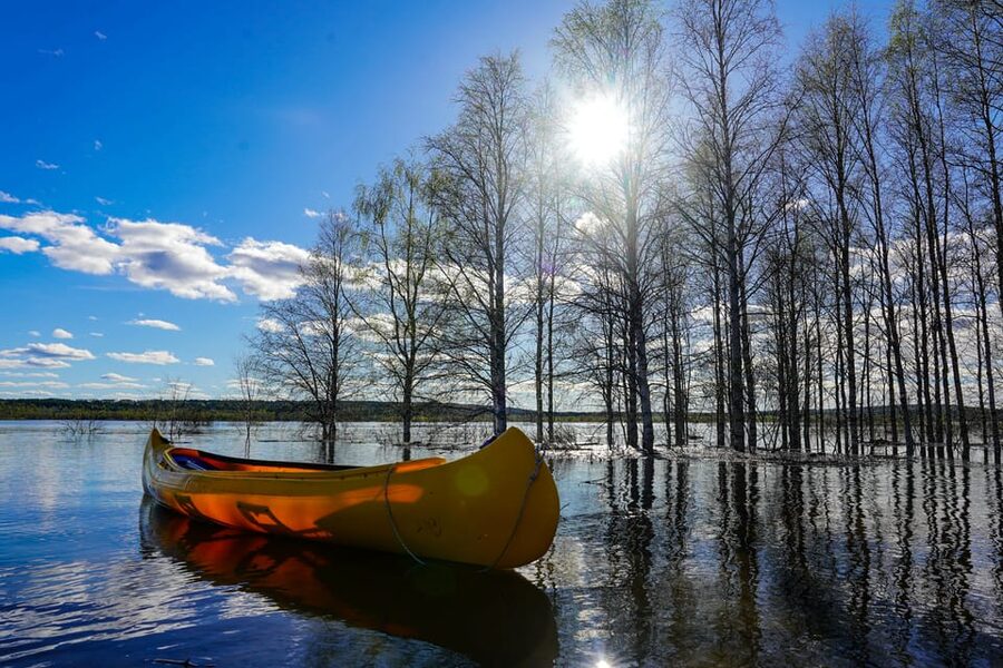 Rovaniemi: All-Day Canoe Adventure - Should You Book the All-Day Canoe Adventure in Rovaniemi?