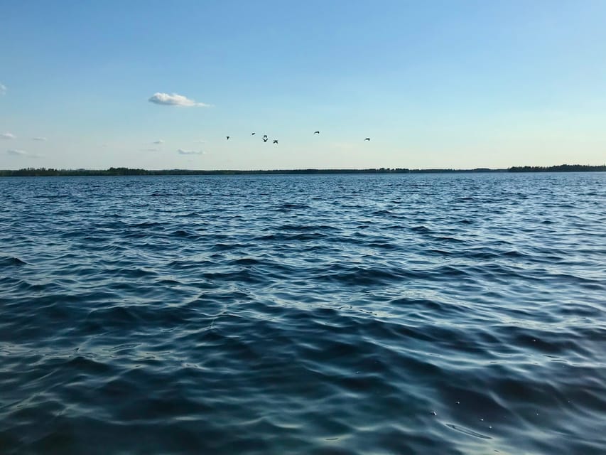 Rovaniemi: All-Day Canoe Adventure - The Campfire Break: Finnish Snack, Hot Drinks, and Flint-and-Steel