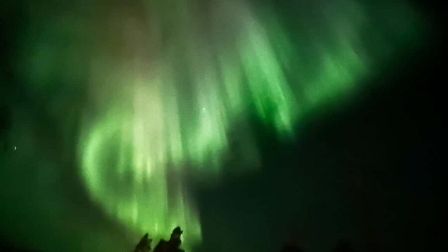 Rovaniemi: All-Inclusive Ranua Zoo Excursion & Aurora Dinner - Quick highlights: Ranua Zoo, Fazer chocolate, and a campfire aurora hunt