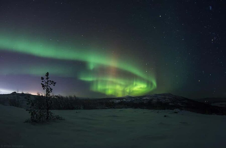 Rovaniemi: All-Inclusive Ranua Zoo Excursion & Aurora Dinner - Why this Rovaniemi zoo-to-aurora plan actually makes sense