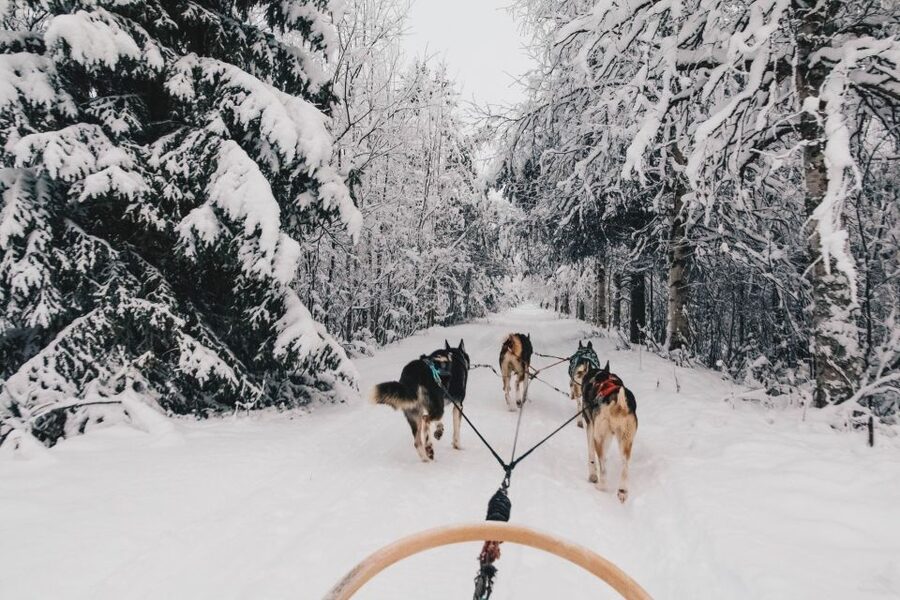 Rovaniemi: Apukka Husky Adventure 7km, self-driven - Apukka Resort and the short walk to the husky farm