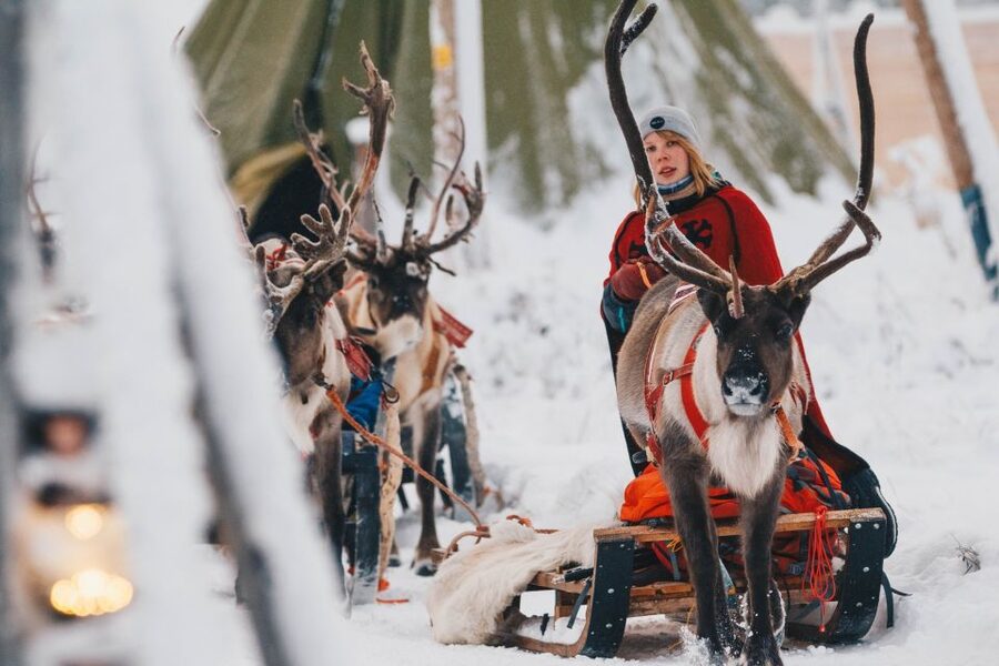 Rovaniemi: Apukka Reindeer Journey - The Sleigh Ride Through Snowy Forest: 2-3 km of Quiet Motion