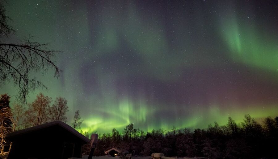 Rovaniemi: Apukka Reindeer Sleigh Ride at Night - Key things to know before you go