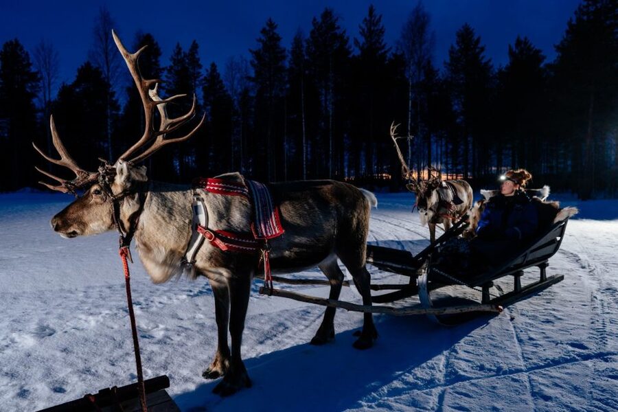 Rovaniemi: Apukka Reindeer Sleigh Ride at Night - Night sleighs in Lapland: why this one feels different