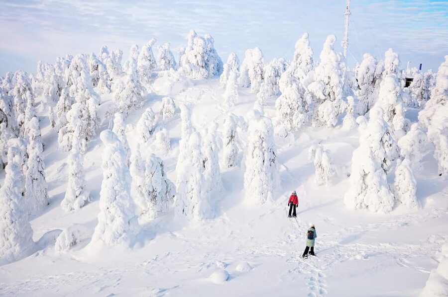 Rovaniemi: Arctic Animals Sleigh Rides and Wildlife Zoo - The two sleigh rides: how to get the most out of a short experience