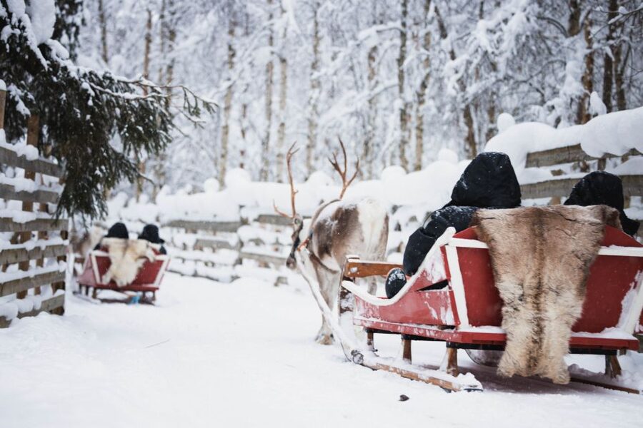 Rovaniemi: Arctic Circle Highlights by Snowmobile - Snowmobile Training and the 1-hour Arctic Circle Forest Ride
