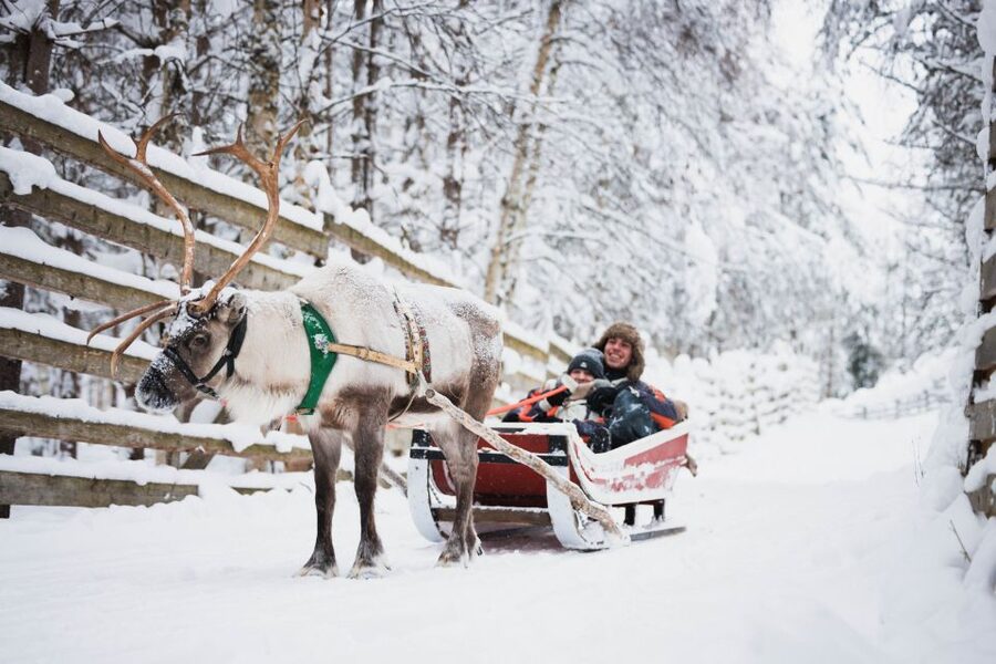Rovaniemi: Arctic Circle Highlights by Snowmobile - Clothes, Gear, and the Cold-Weather Reality Check