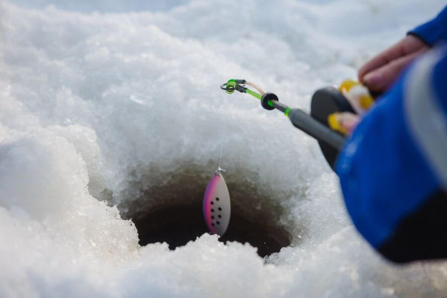 Rovaniemi: Arctic Circle Ice Fishing Experience - Price and value: what $104 per person buys you