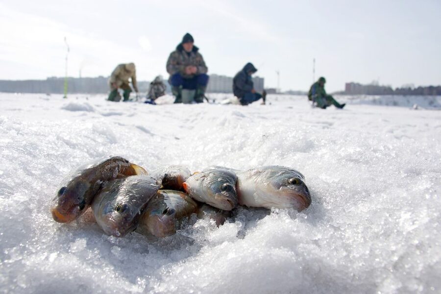 Rovaniemi: Arctic Circle Ice Fishing Experience - What you wear: included winter clothing that actually matters