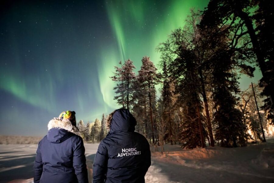 Rovaniemi: Arctic Ice Floating and Northern Lights Tour - Value check on the $146 per person price tag