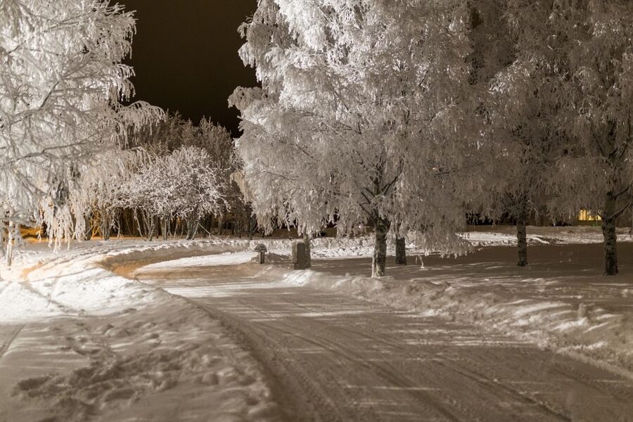 Rovaniemi: Arctic Ice Karting Tour - What a 90-Minute Session Feels Like: Meet, Gear Up, Then Race