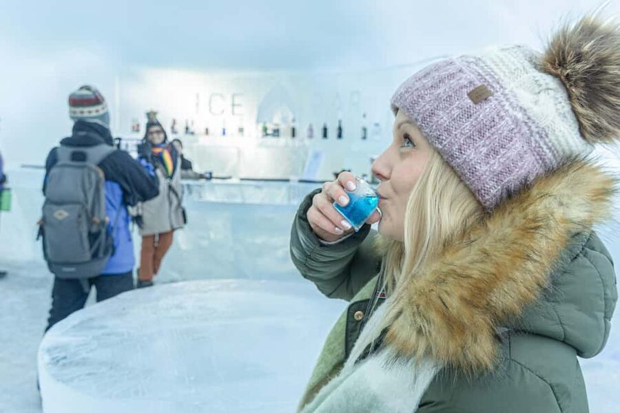 Rovaniemi: Arctic SnowHotel Tour and Dinner with Transfers - Key Things to Know Before You Go
