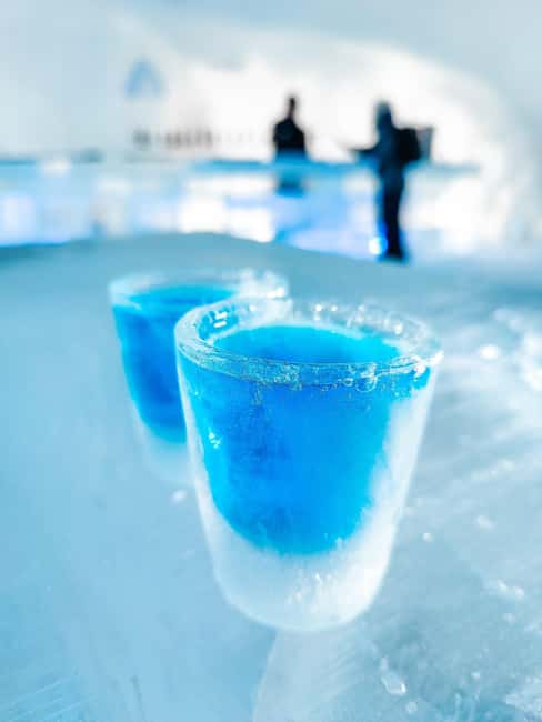 Rovaniemi: Arctic SnowHotel Tour and Dinner with Transfers - Price Value: What You Pay For, and Who Gets the Best Deal
