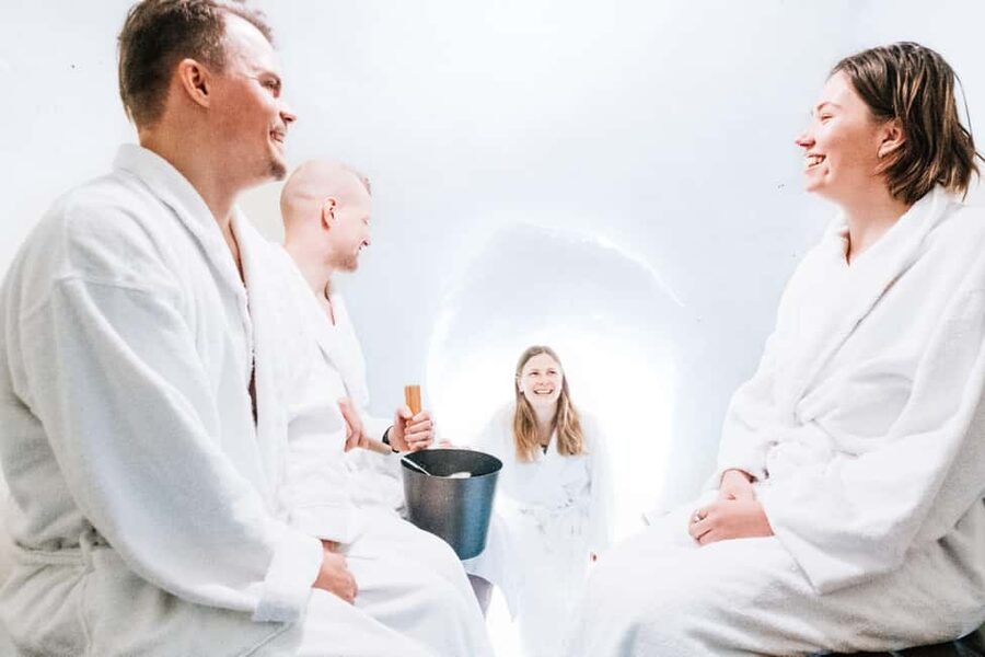 Rovaniemi: Arctic SnowHotel Tour and Snow Sauna Experience - Price, Timing, and Who This 5 to 6 Hour Tour Fits