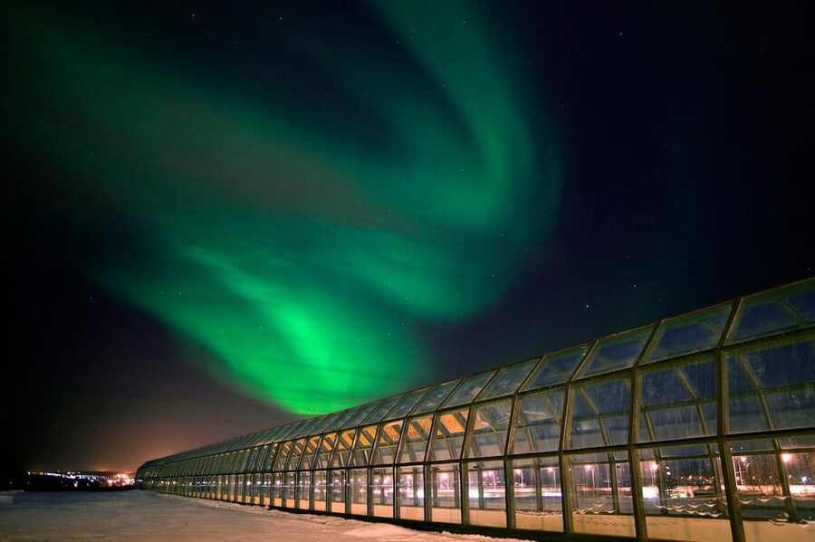Rovaniemi: Arktikum Science Centre and Museum Entry Ticket - Key highlights worth planning for