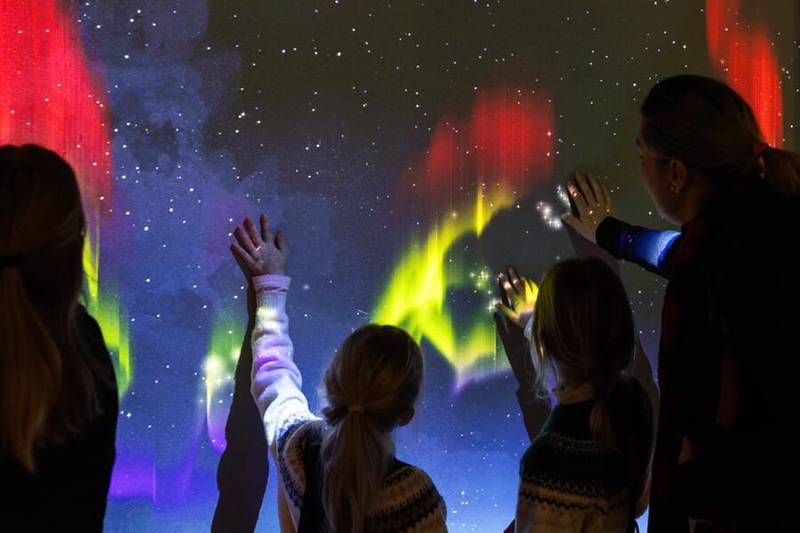 Rovaniemi: Arktikum Science Centre and Museum Entry Ticket - Exhibitions on Arctic nature, animals, and life in the North