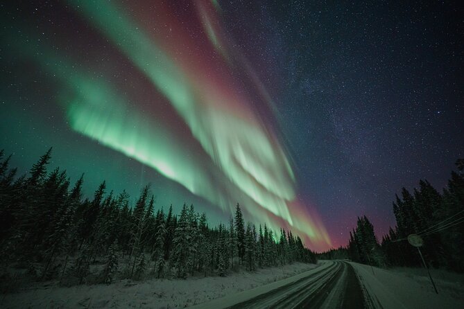 Rovaniemi: Aurora Activity Guarantee - 97% Success Rate Tour - Key Points Before You Go
