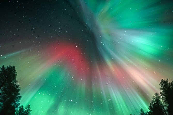 Rovaniemi: Aurora Activity Guarantee - 97% Success Rate Tour - Stop 2 in Lapland: The “Nearest Secret Spot” Plan
