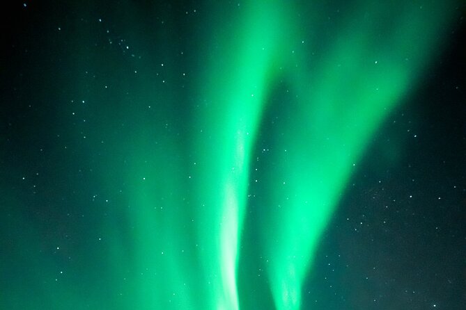 Rovaniemi: Aurora Activity Guarantee - 97% Success Rate Tour - Final Stop in Lapland: Catching the Best Show, Then Going Back