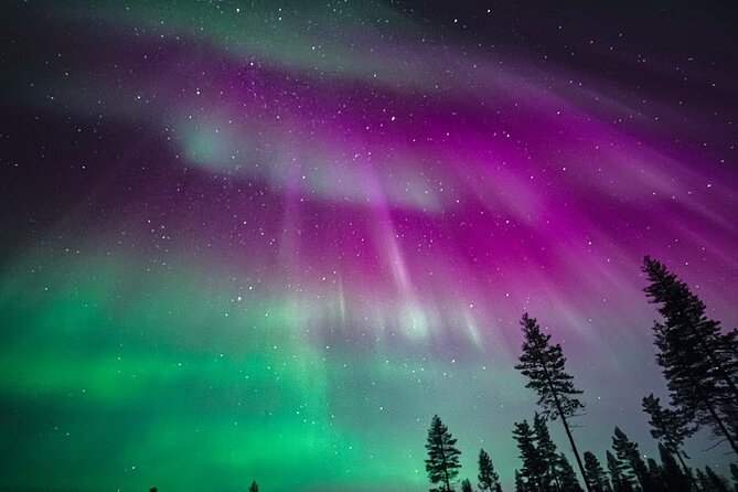Rovaniemi: Aurora Activity Guarantee - 97% Success Rate Tour - Price and Value: Why $93.58 Can Make Sense
