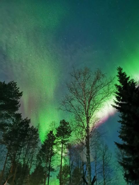 Rovaniemi: Aurora BBQ at the Best Spots - Group size and car logistics: up to 8 participants per car