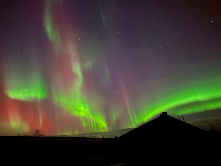 Rovaniemi: Aurora BBQ at the Best Spots - Price and value: what you get for $111 per person