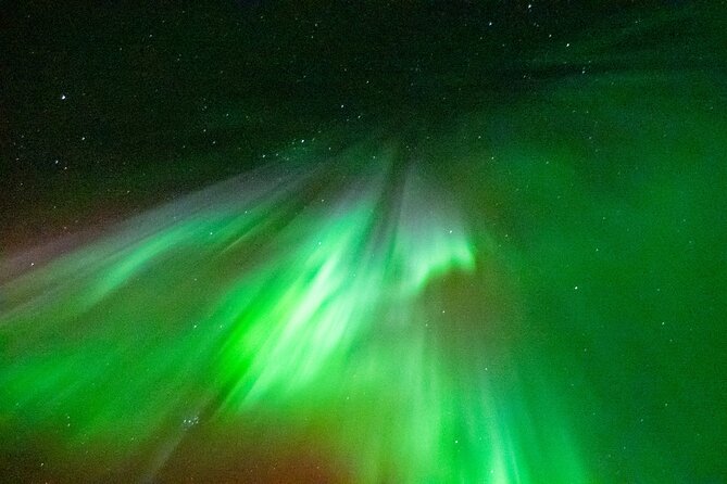 Rovaniemi: Aurora BBQ at the Best Spots - Two Aurora observation spots, and why that second location matters