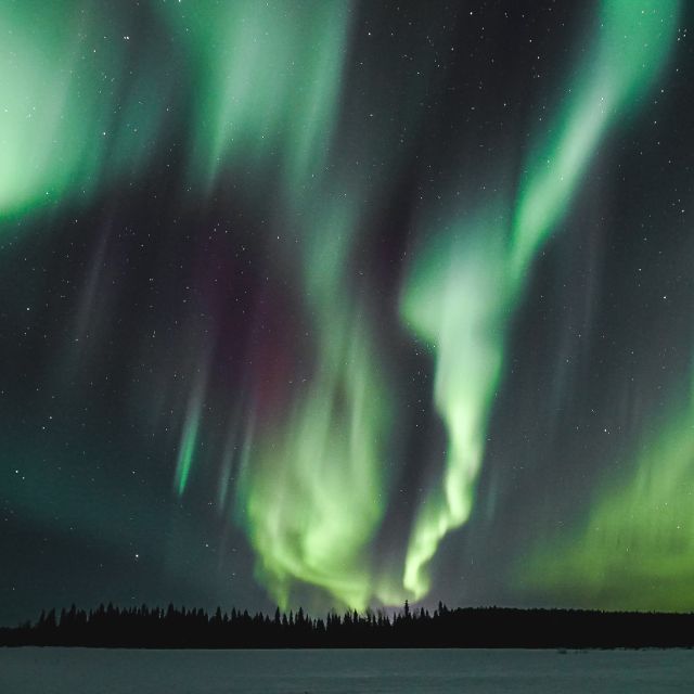 Rovaniemi: Aurora Borealis Hunting Photo Tour - Why This 4-Hour Aurora Borealis Photo Hunt Works Better Than Guessing