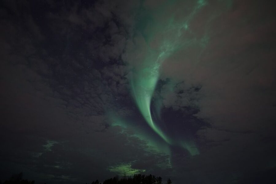 Rovaniemi: Aurora Borealis Tour - Should You Book This Aurora Borealis Tour in Rovaniemi?