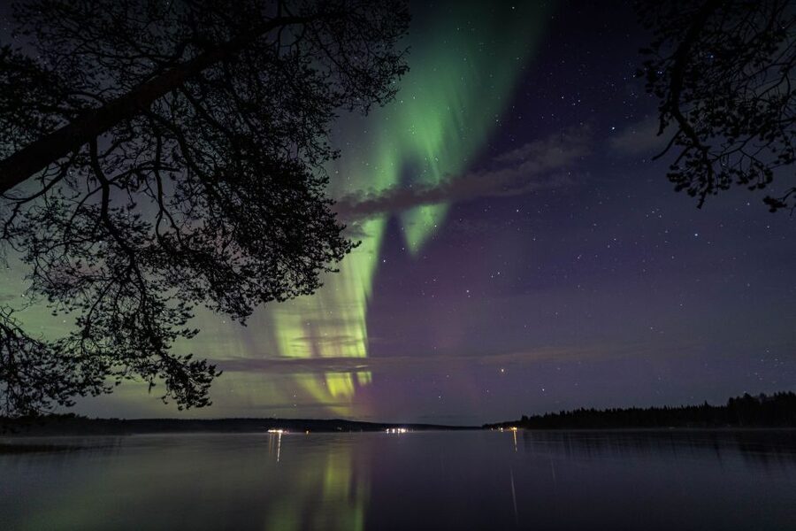 Rovaniemi: Aurora Borealis Tour - Who This Tour Fits Best (and Who Might Want Another Option)