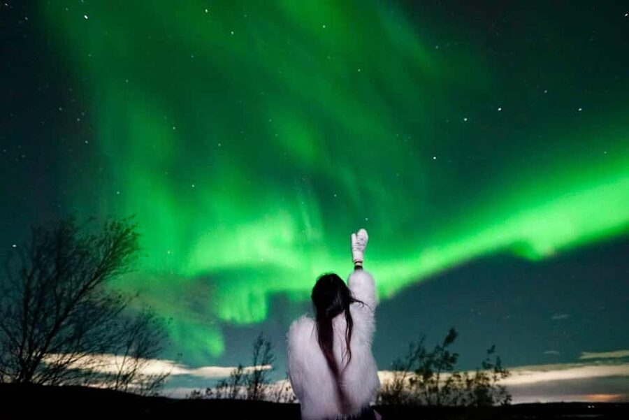 Rovaniemi Aurora Fire & Flavour - Arctic Gastronomy Tour - Why This Rovaniemi Aurora Trip Feels Like Arctic Food Culture, Not a Bus Tour