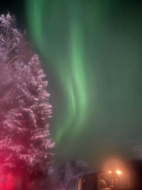 Rovaniemi Aurora Fire & Flavour - Arctic Gastronomy Tour - Small Group Comfort: Warm Blankets, English Guides, and a Personal Pace