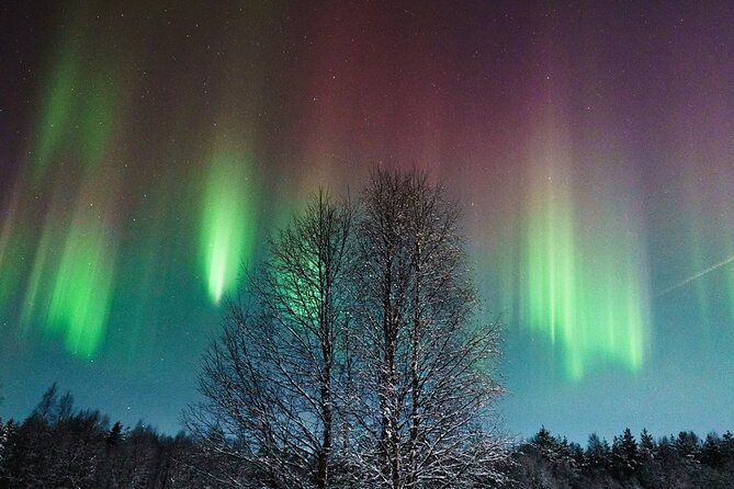 Rovaniemi: Aurora Hunt with Photograph & money back guarantee - Key things to know before you go