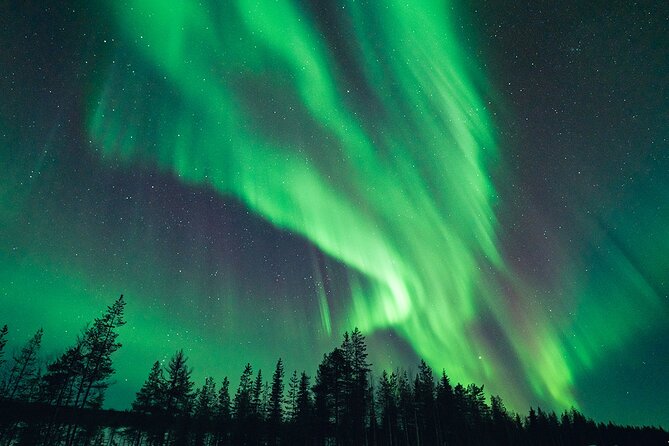 Rovaniemi: Aurora Hunt with Photograph & money back guarantee - Aurora hunting in Rovaniemi, with a plan that changes