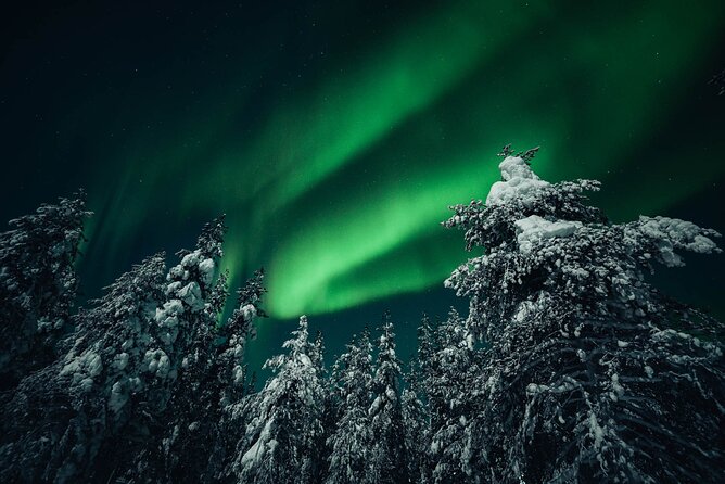 Rovaniemi: Aurora Hunt with Photograph & money back guarantee - Waiting for the sky, with a guide who actually explains what you’re seeing