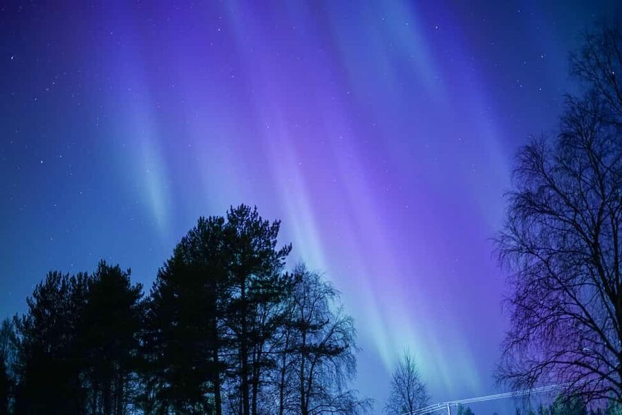 Rovaniemi: Aurora hunting and a fireside BBQ experience - What to bring for a 4-hour Arctic night, and what to leave at home